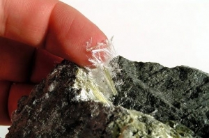 Asbestos fibers in its natural form. 